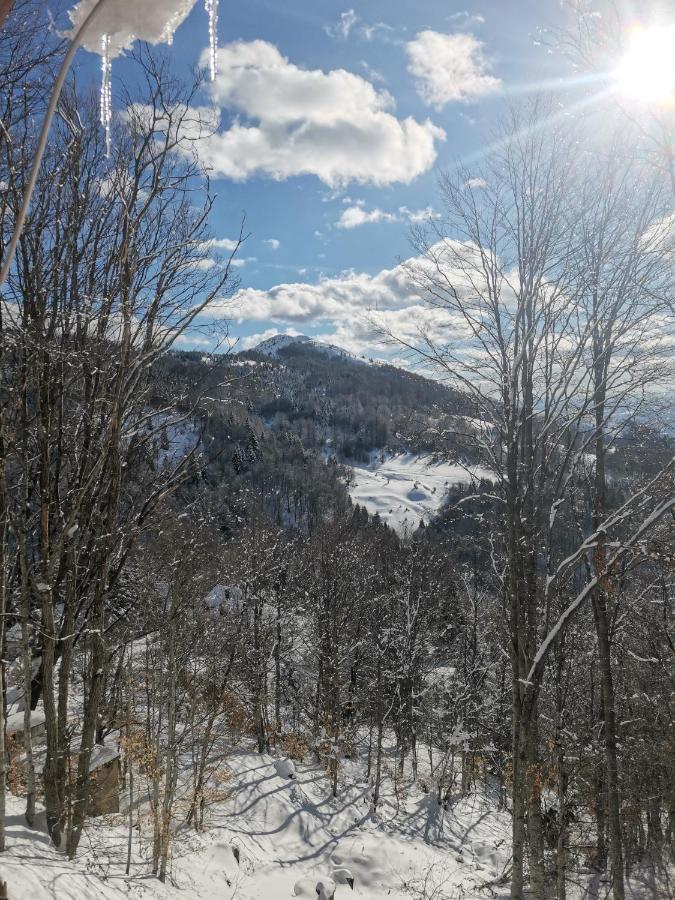 Vikendica Ceperkovic #1 Villa Kopaonik Luaran gambar